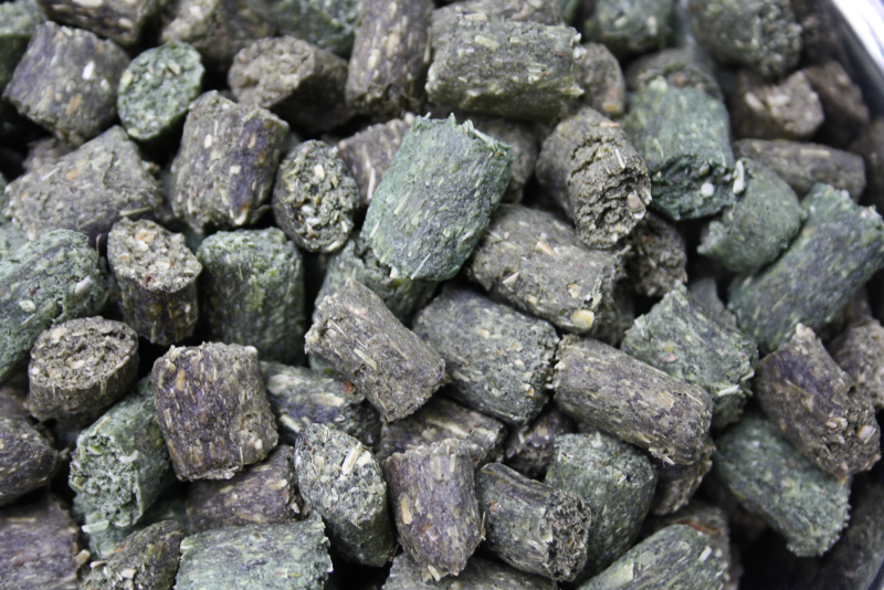 Hundesnack-Spirulina1_Hunde_Leckerchenf-rHunde_VegetarischeHundeleckerchen Spirulina-Snack