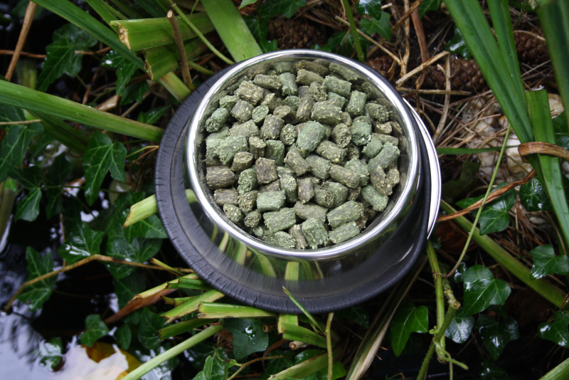 Hundesnck-Spirulina2_Hunde_Leckerchenf-rHunde_SpirlinaHundesnacks