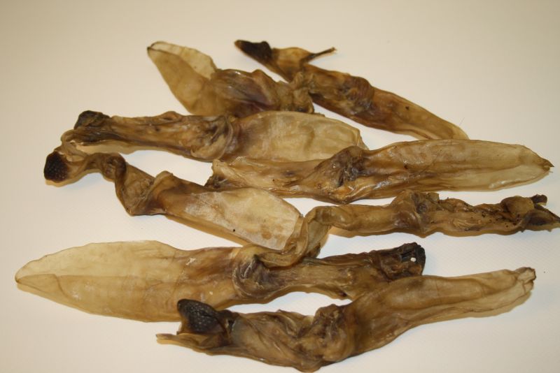 Kaninchenohren-dunkel Kaninchen-Ohren natur
