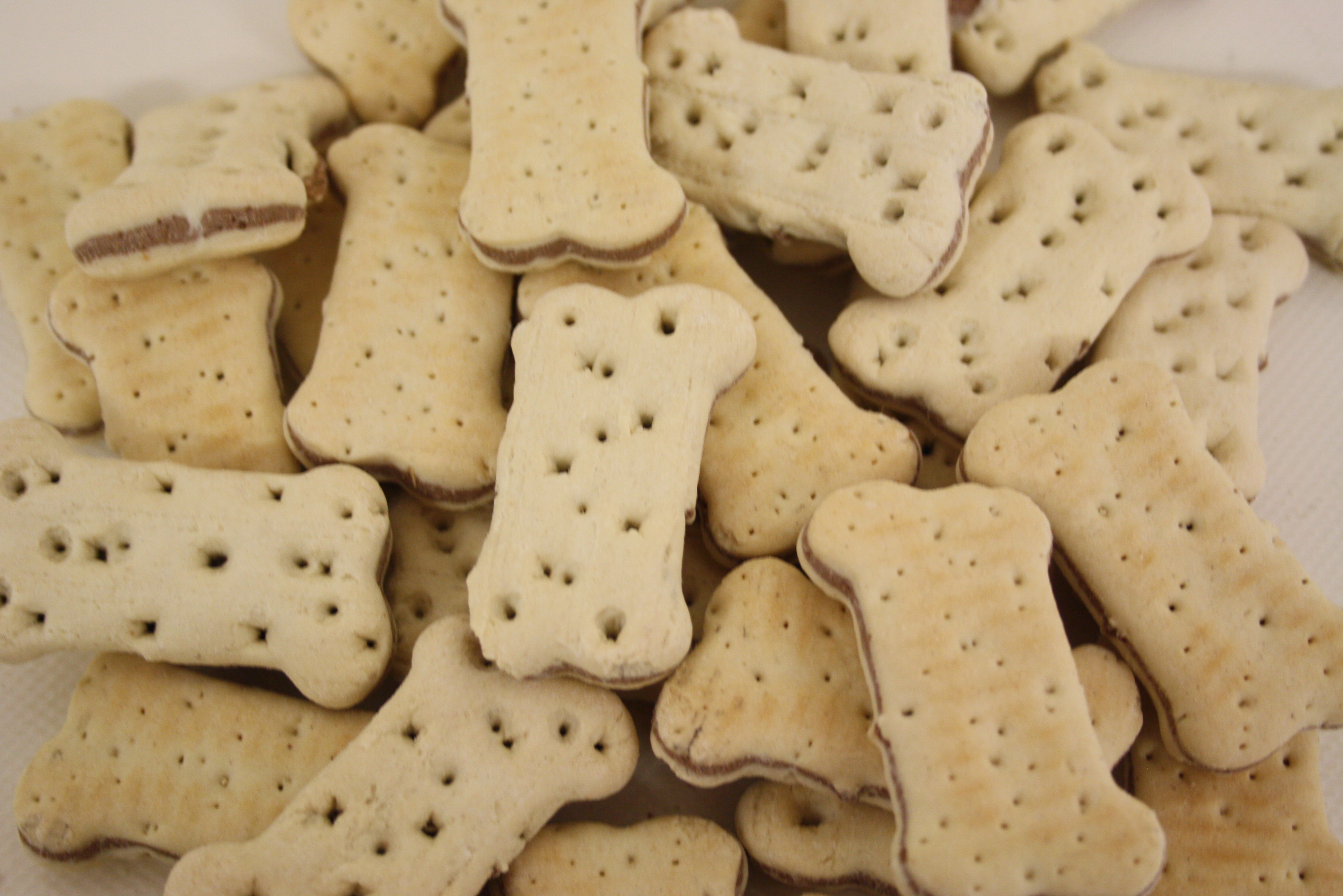 Hundekuchen - Sandwichknochen