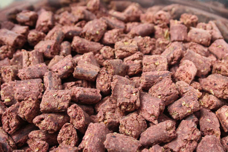 Hundesnack-Insekten1_Hunde_Leckerchenf-r-Hunde_Omega3_Superffoodf-rHunde_Barfen Insektensnack für Hunde