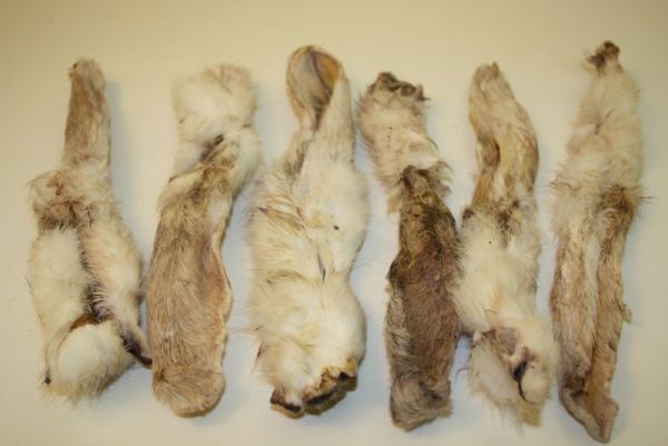 Kaninchenohren mit Fell